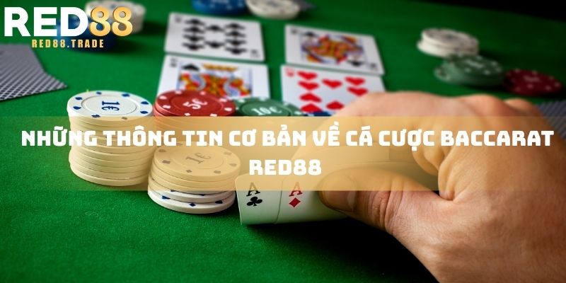 Những thông tin cơ bản về cá cược Baccarat R88 