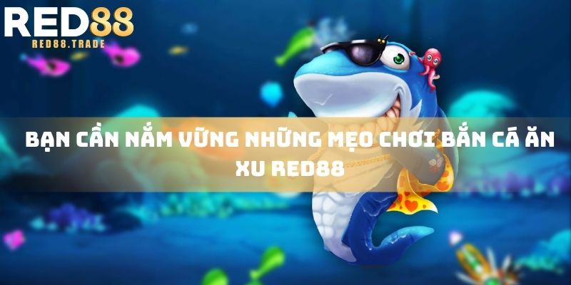 Bạn cần nắm vững những mẹo chơi bắn cá ăn xu RED88