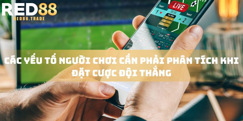 Các yếu tố người chơi cần phải phân tích khi đặt cược đội thắng