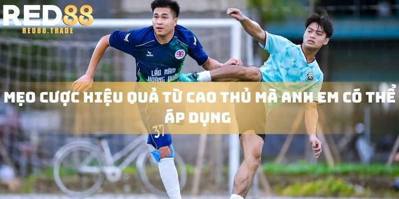 Mẹo cược hiệu quả từ cao thủ mà anh em có thể áp dụng 