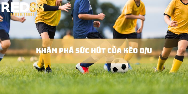 Khám phá sức hút của kèo O/U