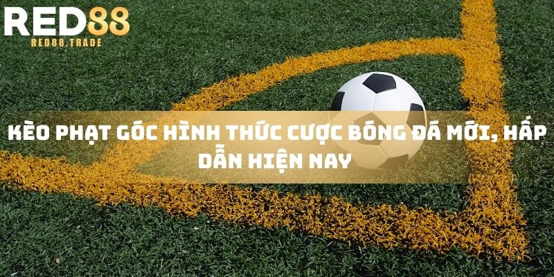 Kèo phạt góc hình thức cược bóng đá mới, hấp dẫn hiện nay 
